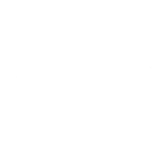 Vice - Documentary - Byron Film - Cinematographer - Ali Vann